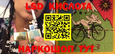 spice Боровичи