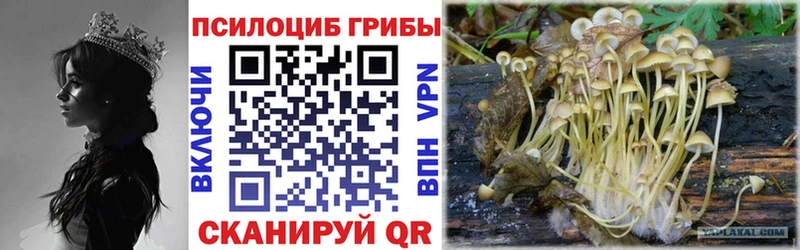 Галлюциногенные грибы прущие грибы  Невинномысск 